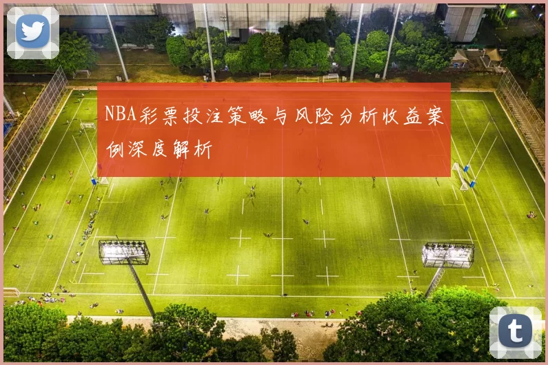 NBA彩票投注策略与风险分析收益案例深度解析