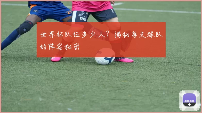 世界杯队伍多少人?揭秘每支球队的阵容秘密