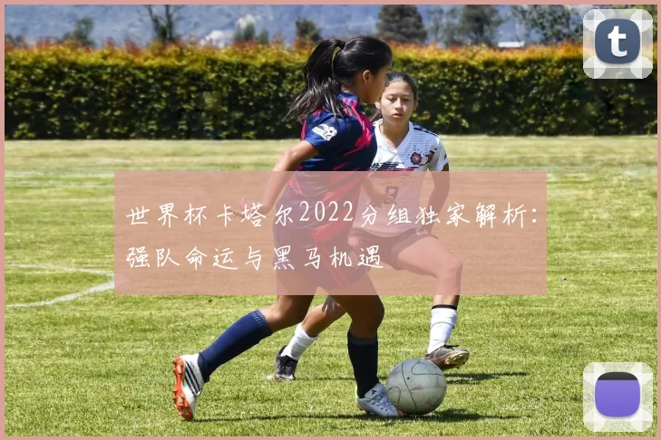 世界杯卡塔尔2022分组独家解析:强队命运与黑马机遇