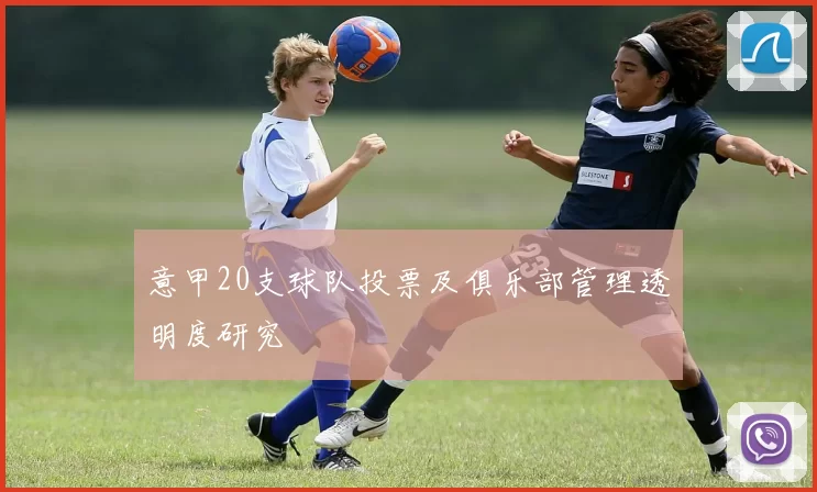 意甲20支球队投票及俱乐部管理透明度研究