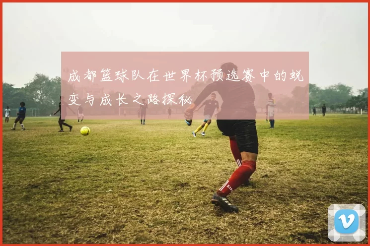 成都篮球队在世界杯预选赛中的蜕变与成长之路探秘