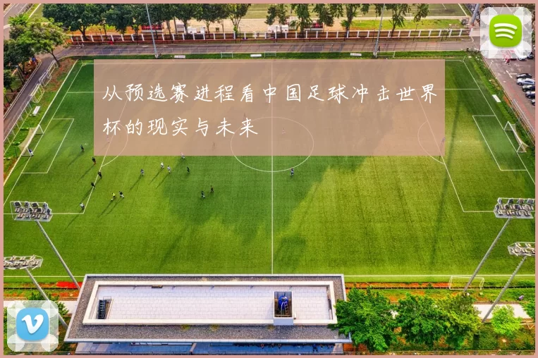 从预选赛进程看中国足球冲击世界杯的现实与未来