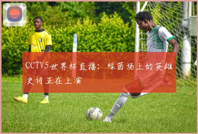 CCTV5世界杯直播:绿茵场上的英雄史诗正在上演