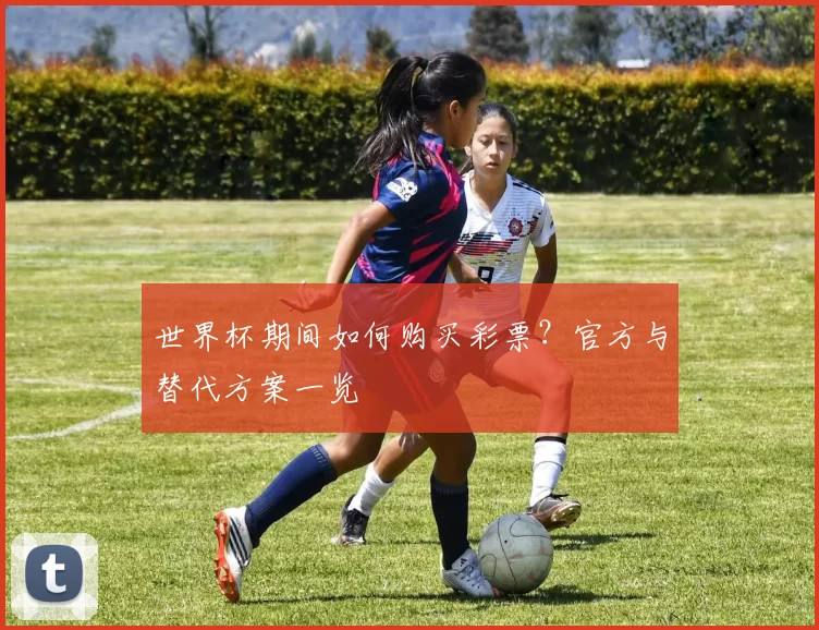 世界杯期间如何购买彩票？官方与替代方案一览