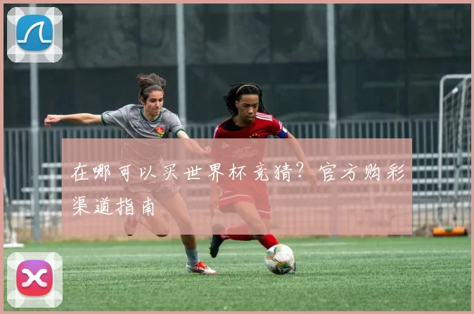 在哪可以买世界杯竞猜？官方购彩渠道指南