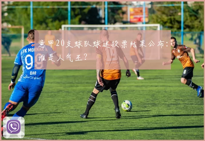 意甲20支球队球迷投票结果公布：谁是人气王？