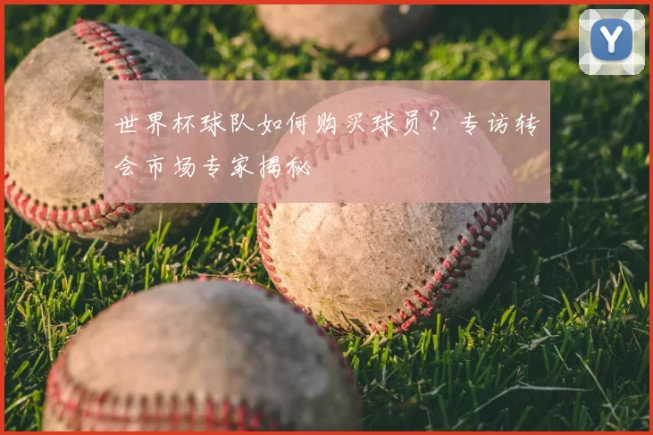 世界杯球队如何购买球员?专访转会市场专家揭秘