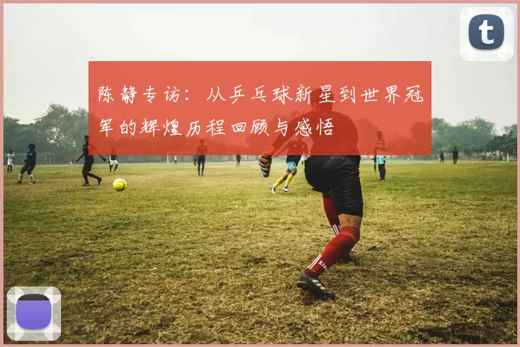 陈静专访:从乒乓球新星到世界冠军的辉煌历程回顾与感悟