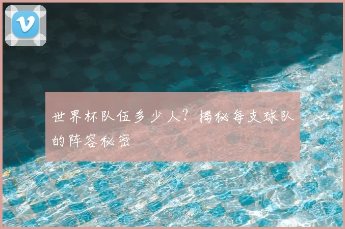 世界杯队伍多少人?揭秘每支球队的阵容秘密