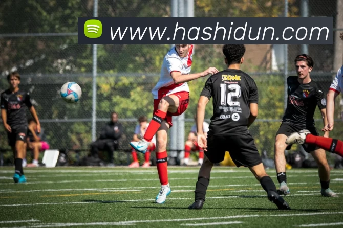 多媒体互动体验